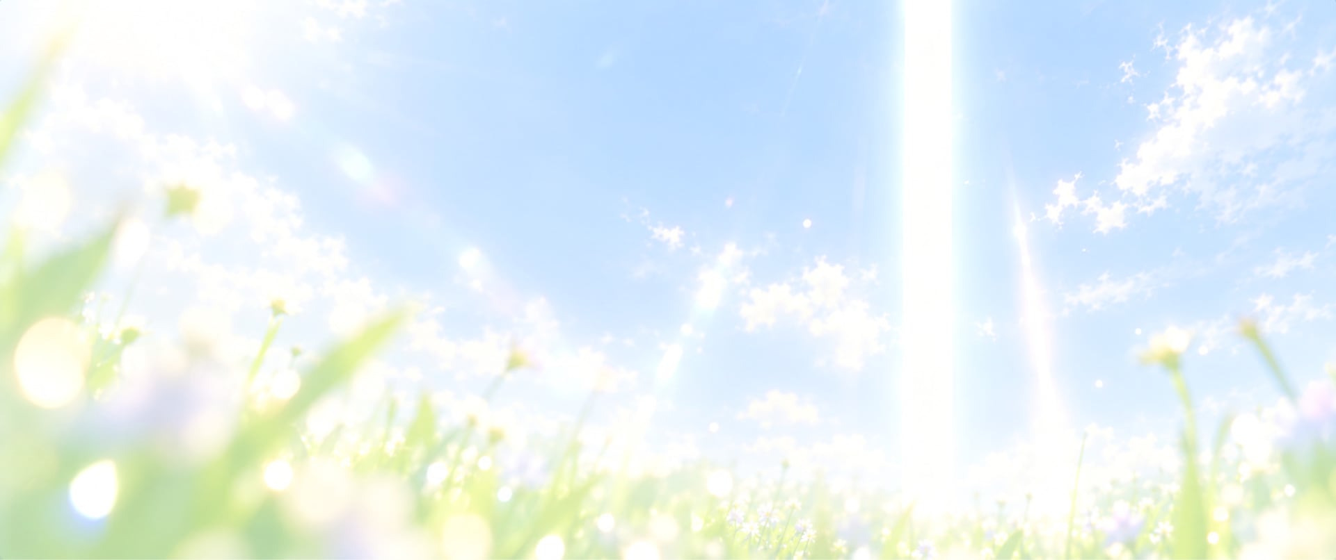 Sunlight in a clear sky above a flowering meadow